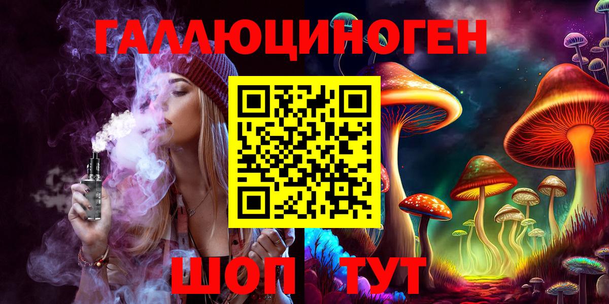 Галлюциногенные грибы Psilocybe  Вход с VPN  Котовск 