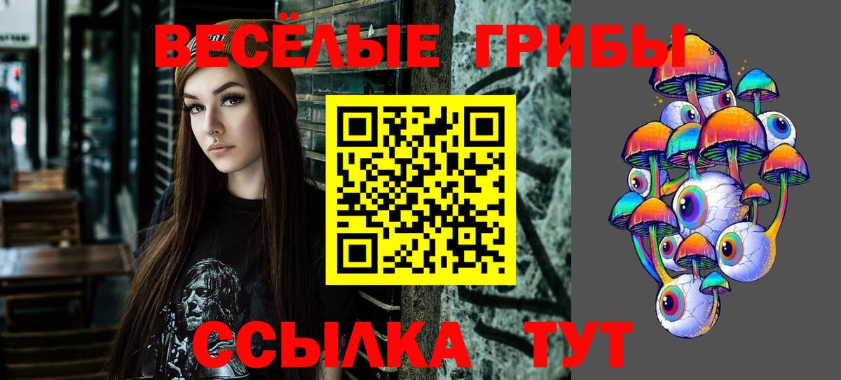 Галлюциногенные грибы Psilocybe Котовск